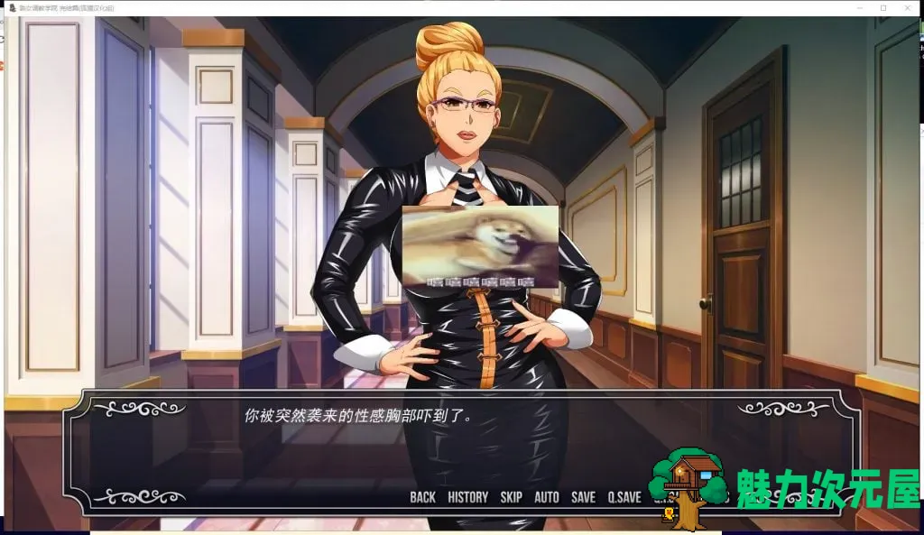 【欧美SLG/汉化/动态】淑女T教学院 PC+安卓 精翻汉化完结步兵版+全CG【新汉化/600M】