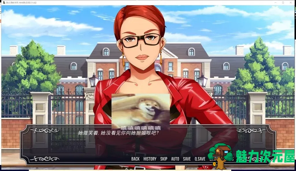 【欧美SLG/汉化/动态】淑女T教学院 PC+安卓 精翻汉化完结步兵版+全CG【新汉化/600M】
