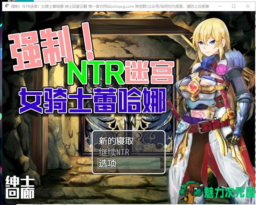 【RPG/汉化】强制NTR迷宫-女骑士蕾哈娜 安卓+PC 机翻版【新汉化/1G】-魅力次元屋
