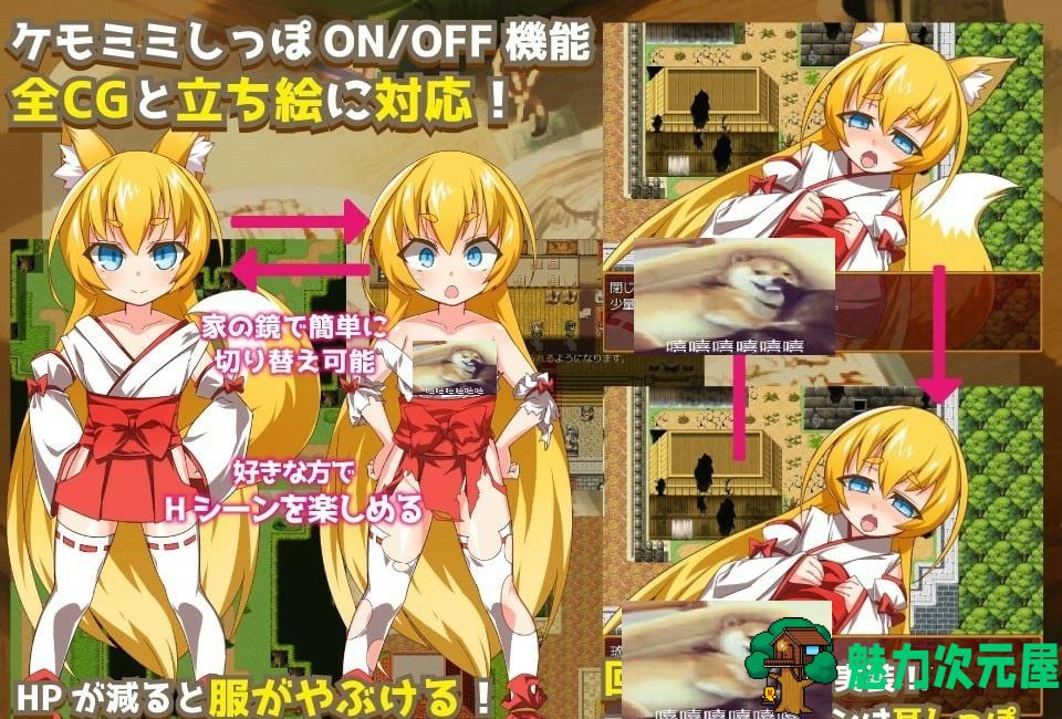 【日式RPG/汉化】萌妹子之狐:琥珀寻夫记 PC+安卓 最新完整汉化版【存档/600M】