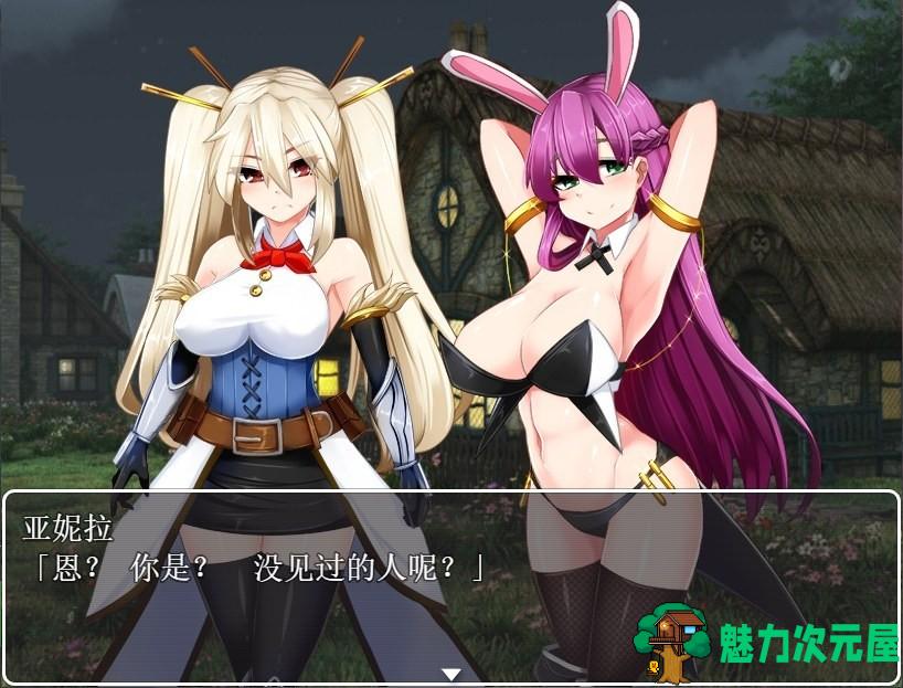 【RPG/汉化】银乱的圣骑士 Holy Knight Bitch【安卓+PC】完整汉化版+全CG【600M】