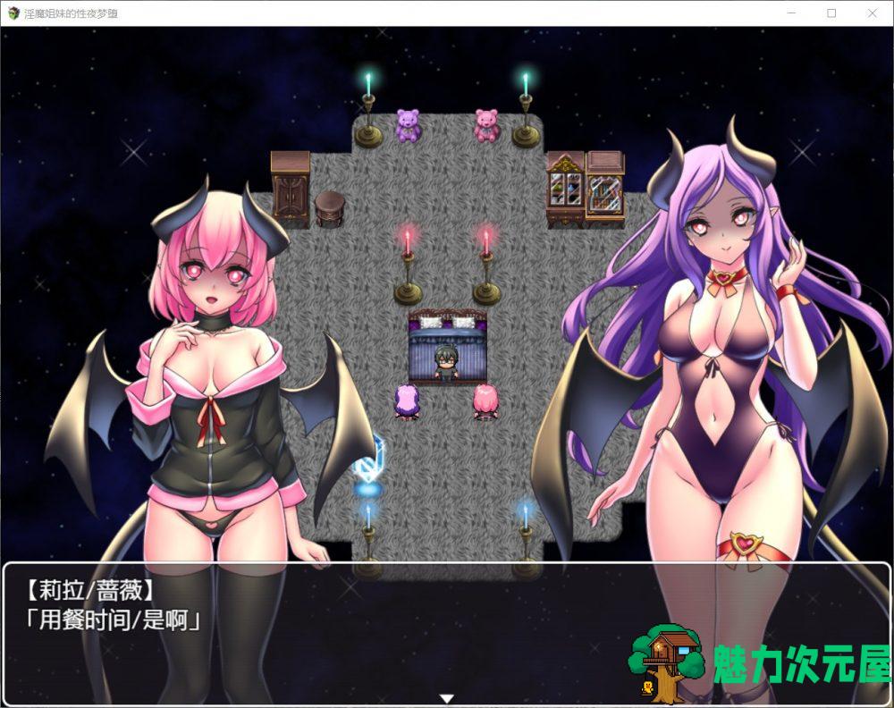 【RPG/汉化】魅魔姐妹的梦堕之夜！【安卓+PC】精翻汉化完结版+全CG【新汉化/600M】