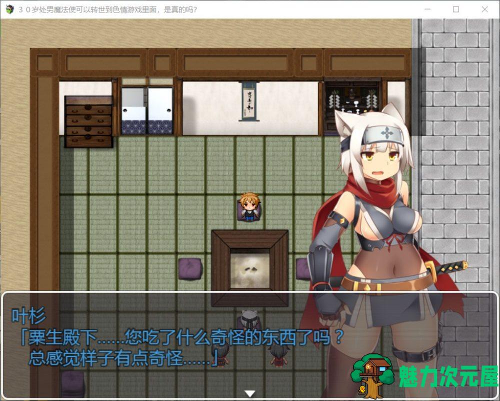 【RPG/汉化】30岁处男魔法使可以转世到H游戏里面【安卓+PC】精翻汉化版【更新/1.2G】