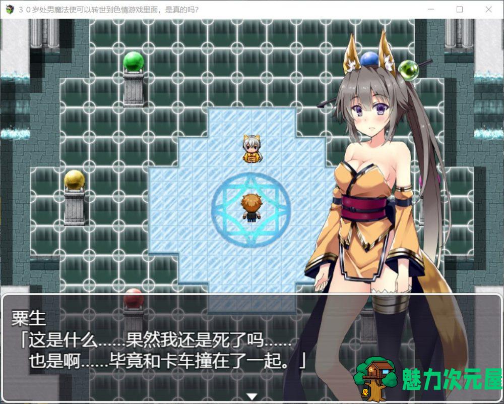 【RPG/汉化】30岁处男魔法使可以转世到H游戏里面【安卓+PC】精翻汉化版【更新/1.2G】-魅力次元屋