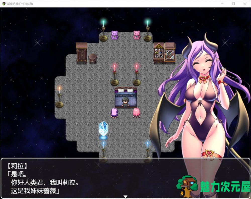 【RPG/汉化】魅魔姐妹的梦堕之夜！【安卓+PC】精翻汉化完结版+全CG【新汉化/600M】