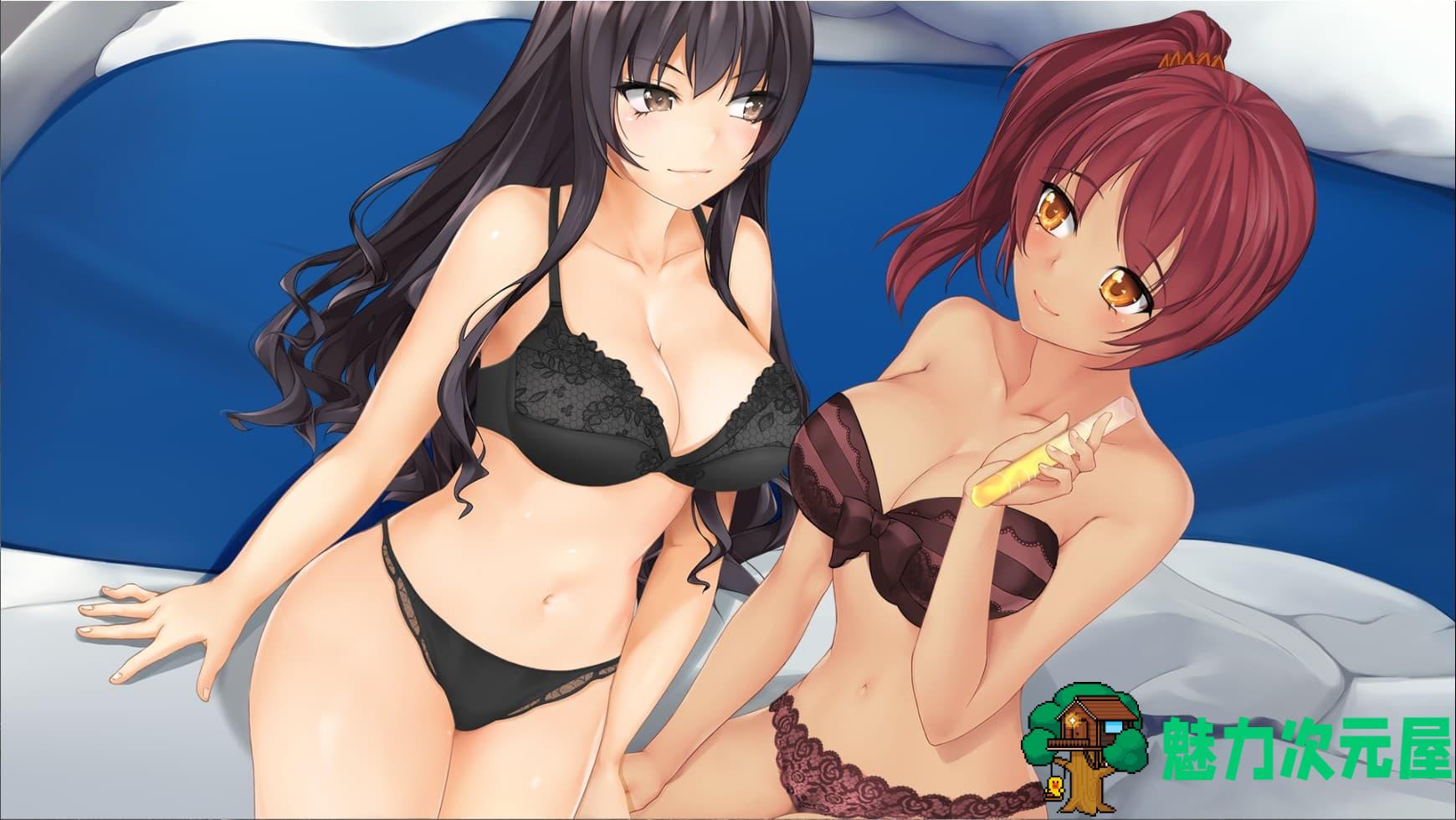 【奇妙SLG/汉化】乱性：or Chromo XY【安卓+PC】精翻步兵汉化版+全画廊【新汉化/1G】