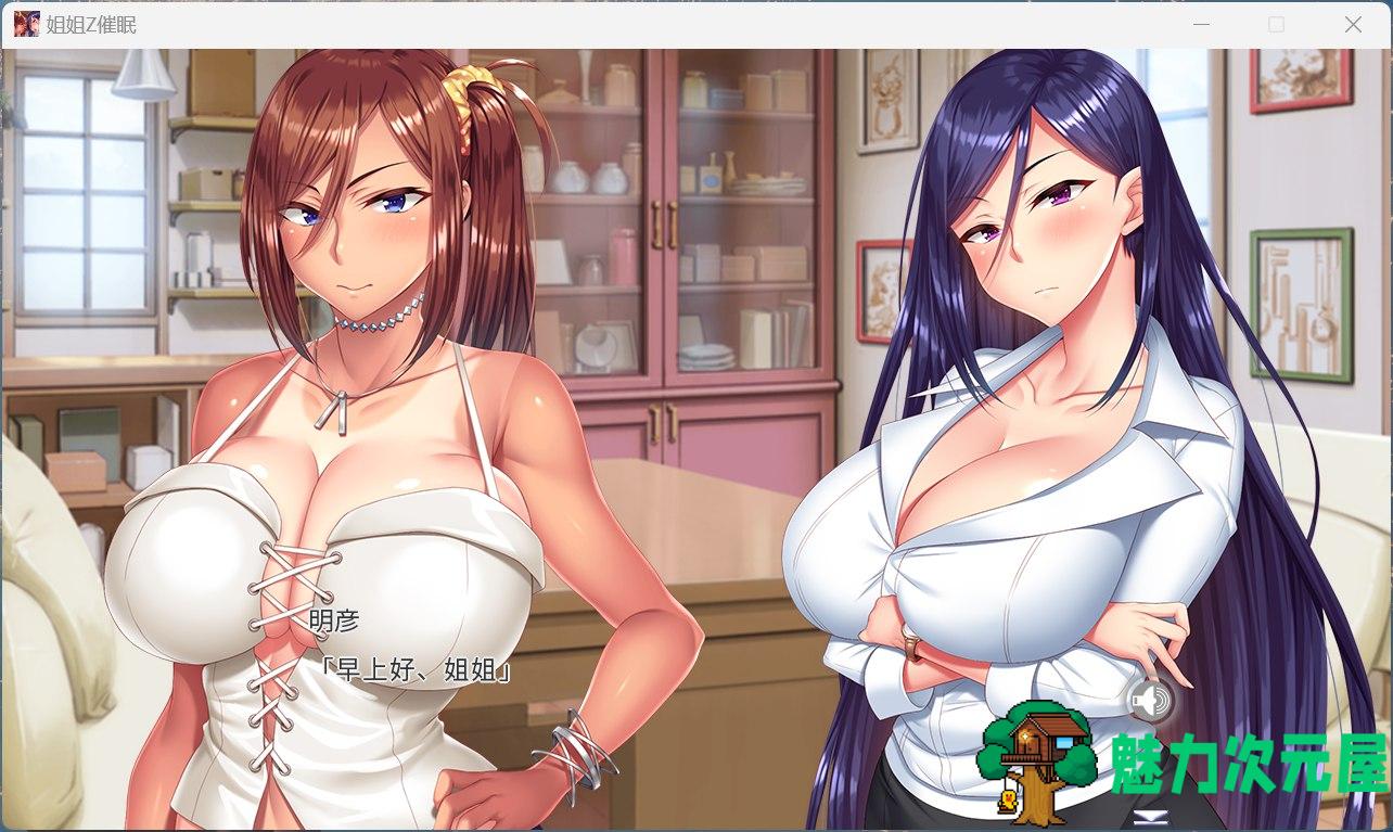 【拔作ADV/中文/全CV】姉姉Z催眠 DL官方中文版+全CG存档【新作/5.2G】-魅力次元屋