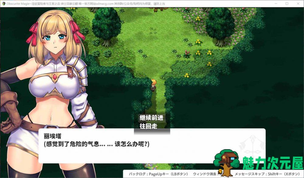 【大型RPG/汉化/全CV】Obscurite-Magic 冒险者与王室之血 云汉化润色版+全CG【新作/1.9G】-魅力次元屋