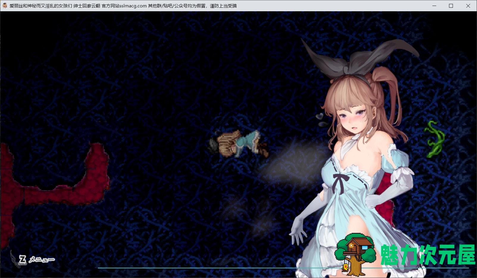 【RPG/汉化/全动态】爱丽丝和神秘的少女们-镜中世界的收卵者 云汉化版【新汉化/1.2G】