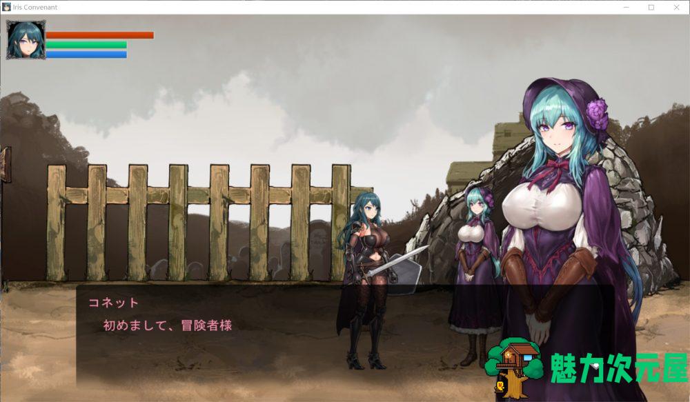 【大作ACT/全动态/全CV】伊莉丝的誓约-大地的最深处 V1.07+全CG存档【更新H场景/1.8G】