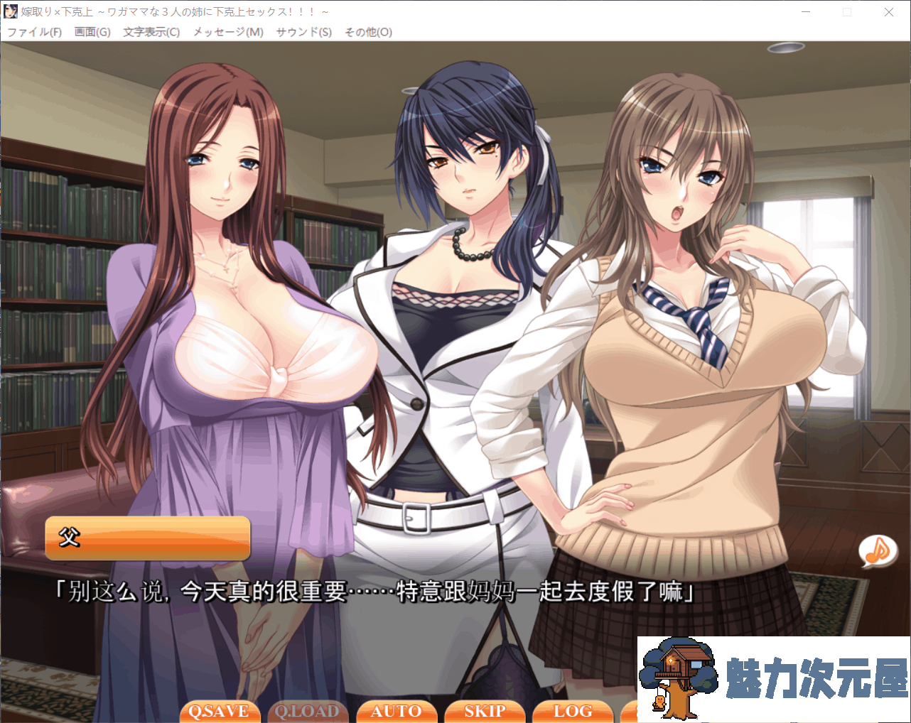 【拔作ADV/汉化/全CV】以结婚为契机，向3个傲娇的姐姐复仇！云汉化版+CG包【新作/2G】-魅力次元屋