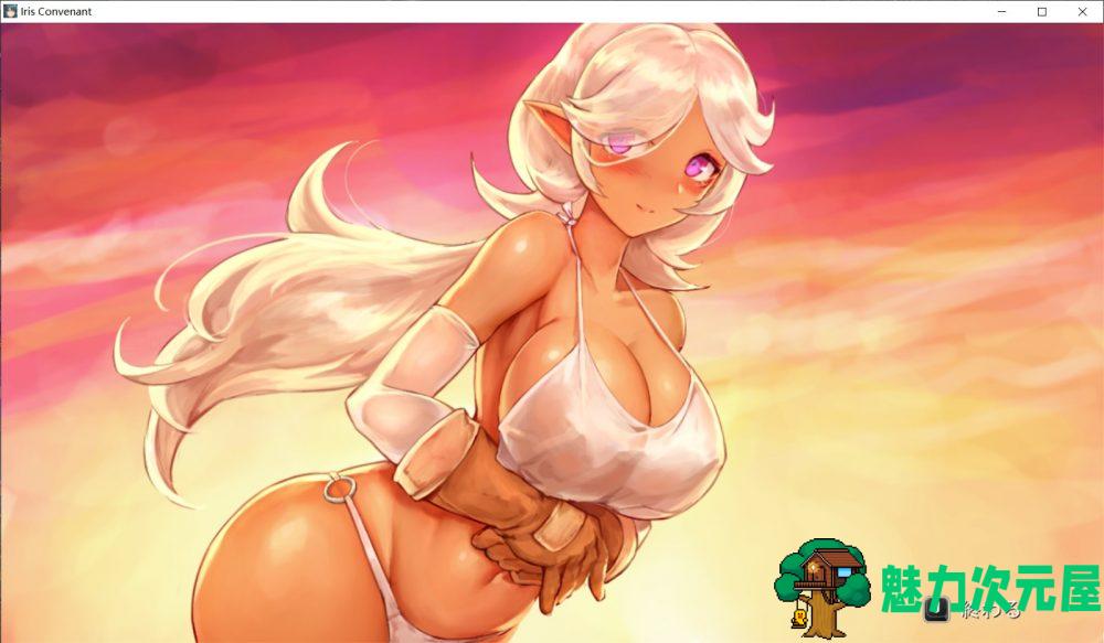 【大作ACT/全动态/全CV】伊莉丝的誓约-大地的最深处 V1.07+全CG存档【更新H场景/1.8G】