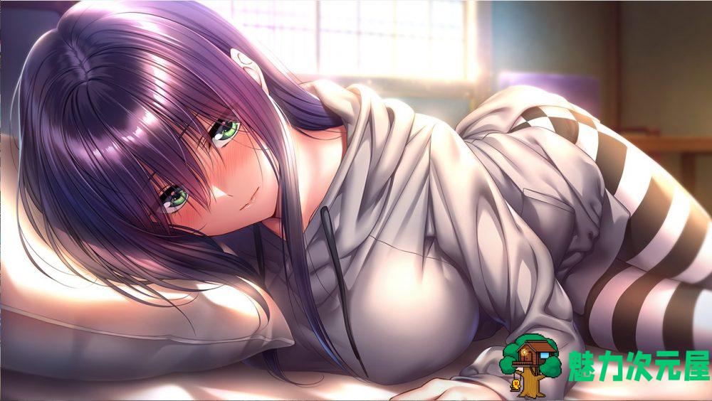 【大型ADV/汉化/全CV/超精美】甜蜜女友2 全线汉化硬盘版+全CG存档【新汉化/7G】