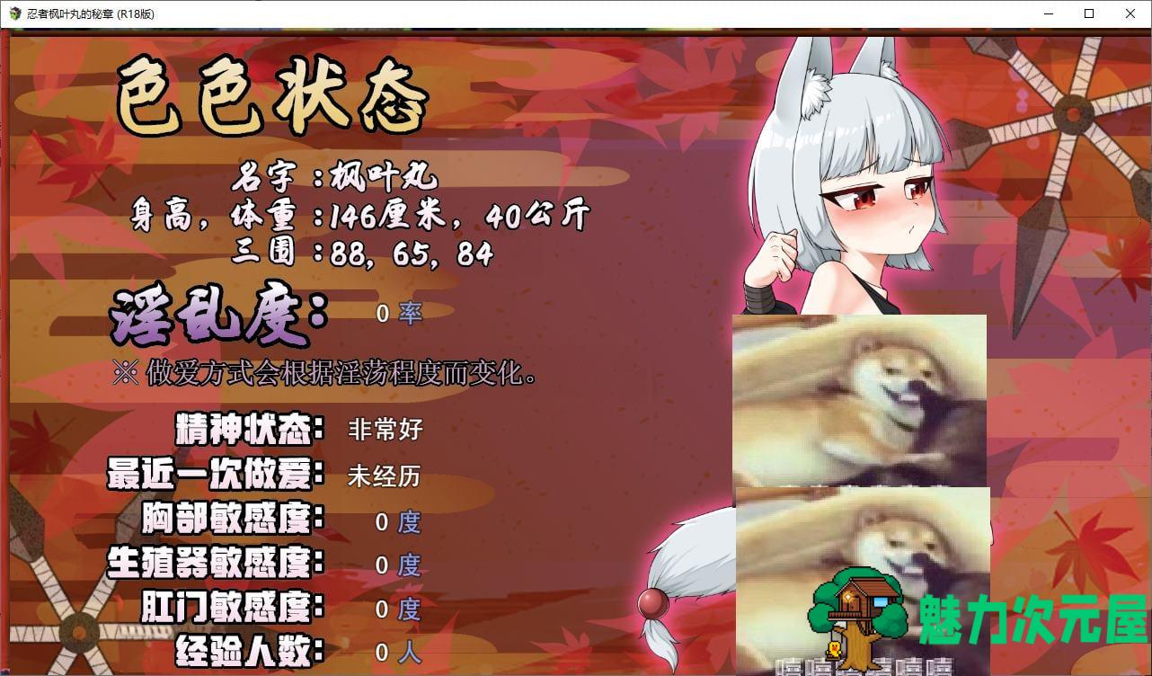 【日式ARPG/中文】忍者枫叶丸的秘章 官中步兵版 【新作/790M】