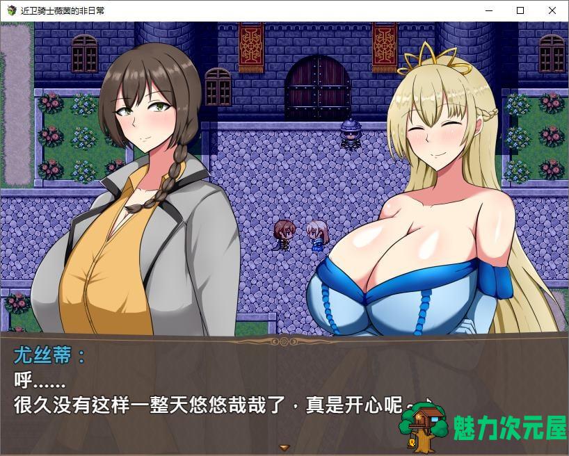 【日式RPG/中文/动态】近卫骑士薇茵的(非)日常 官中步兵版 【新作/550M】