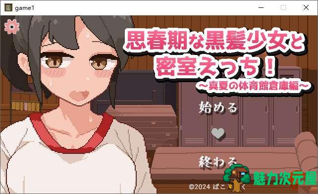 【像素SLG/汉化/动态】与青春期黑发少女的密室H！机翻汉化版【新汉化/510M】-魅力次元屋