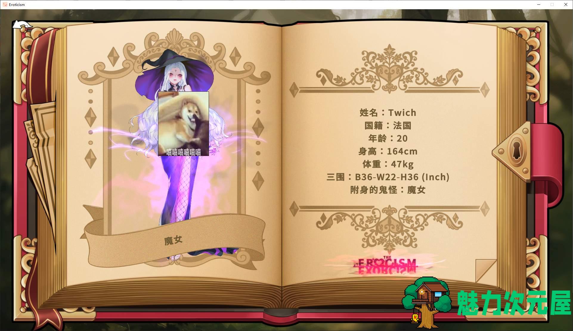 【日式SLG/中文/动态】Erocism 官中步兵版【新作/1.9G】-魅力次元屋