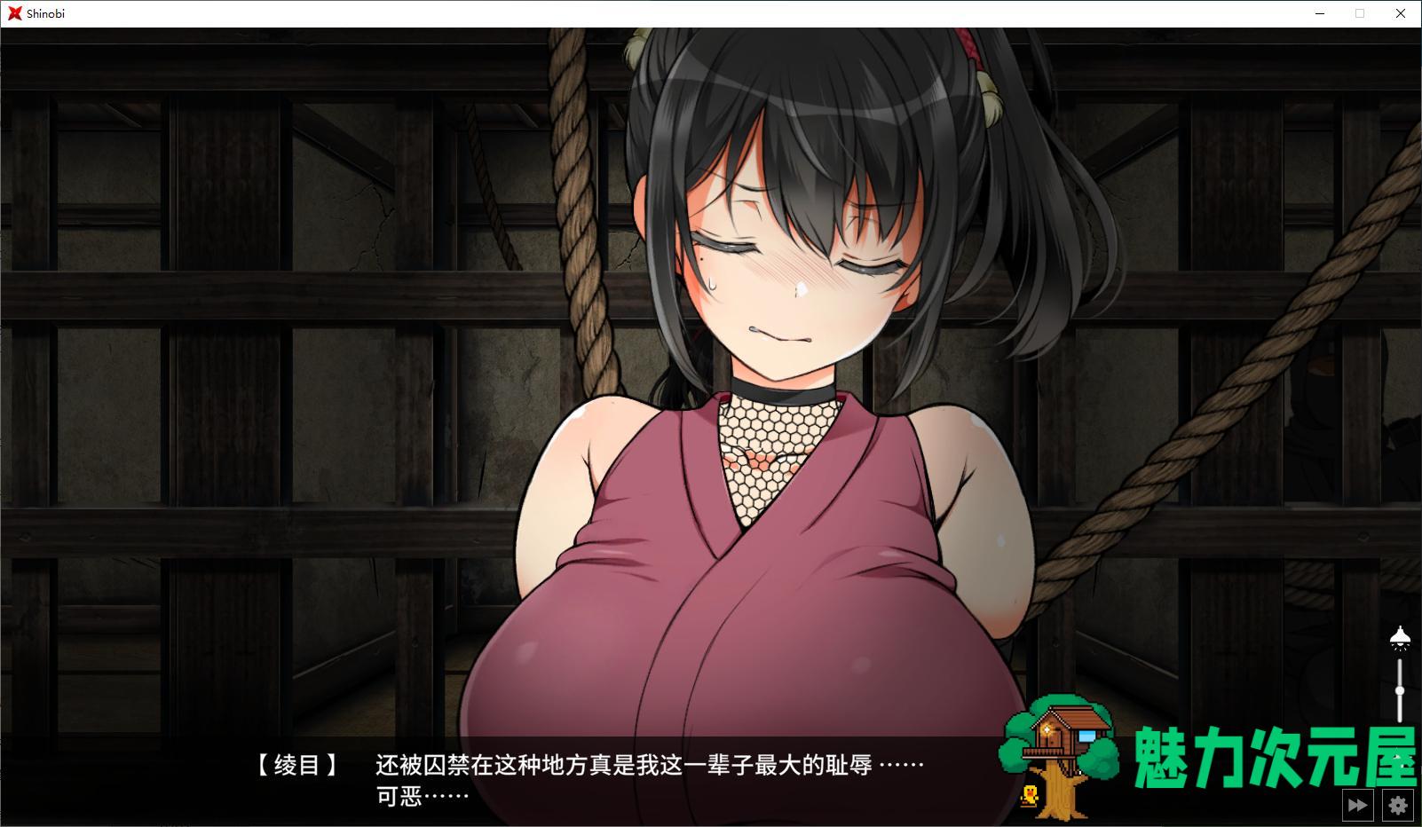 【日式SLG/中文/动态】忍堕－女忍调教 steam官中步兵版 【11G】