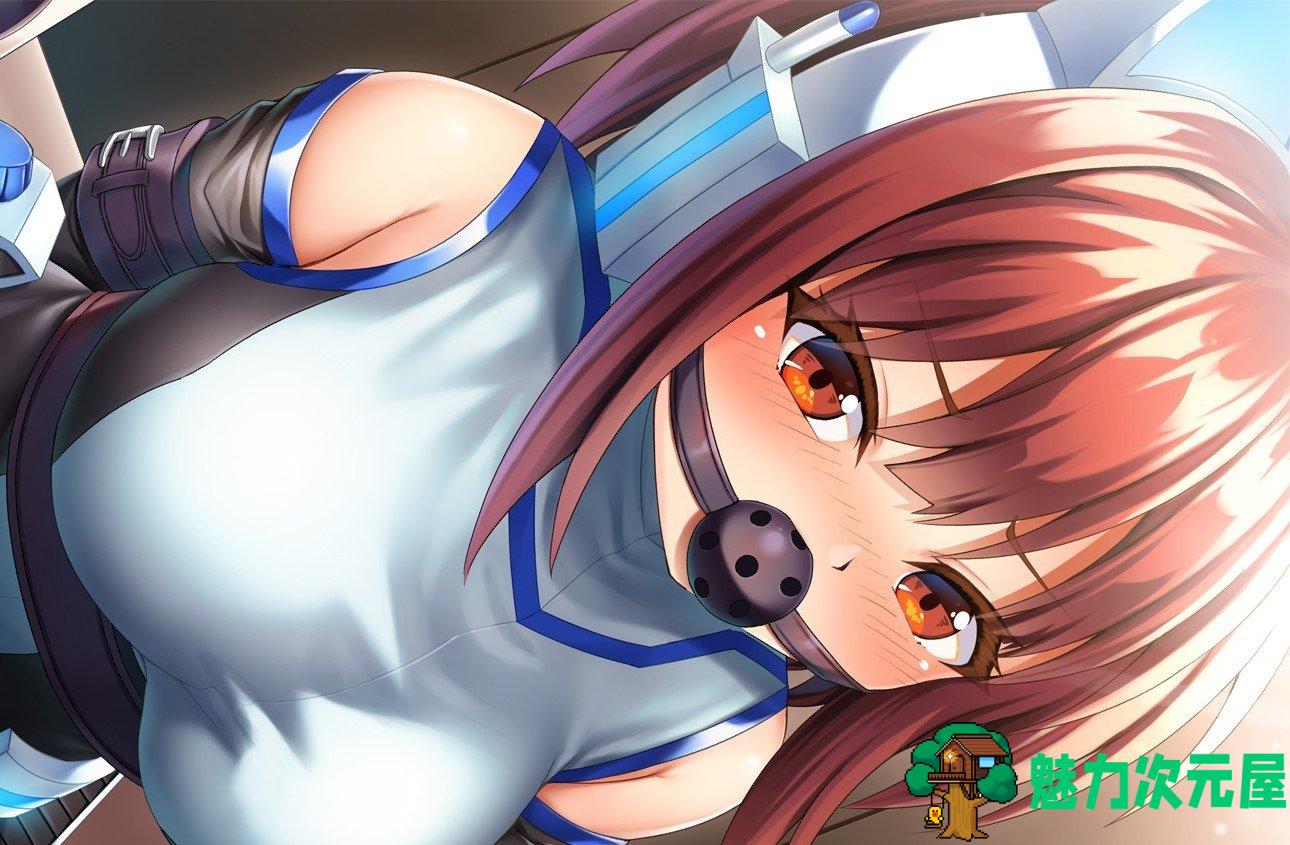 【日式RPG/中文】圣齿轮部队 DL官中版【新作/1.2G】