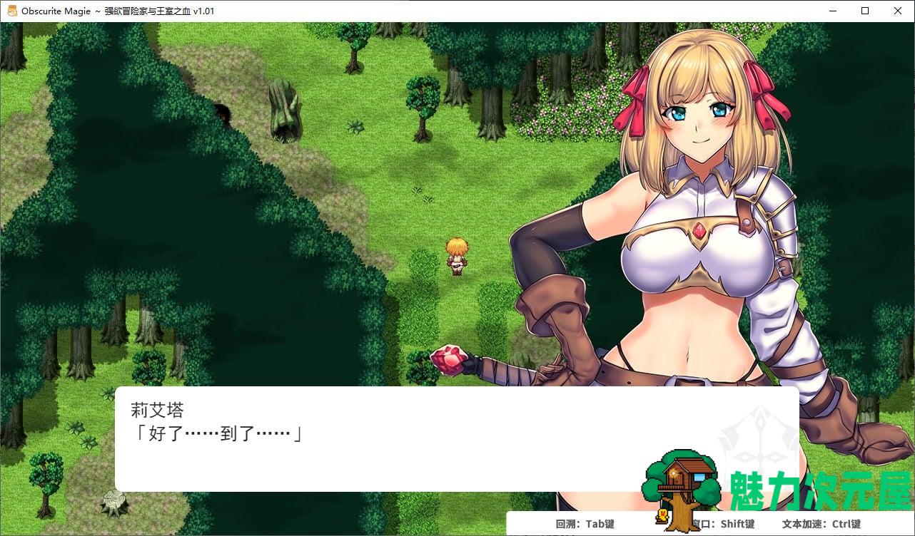 【日式RPG/中文】强欲冒险家与王室之血 官方中文步兵版【新作/1.2G】-魅力次元屋
