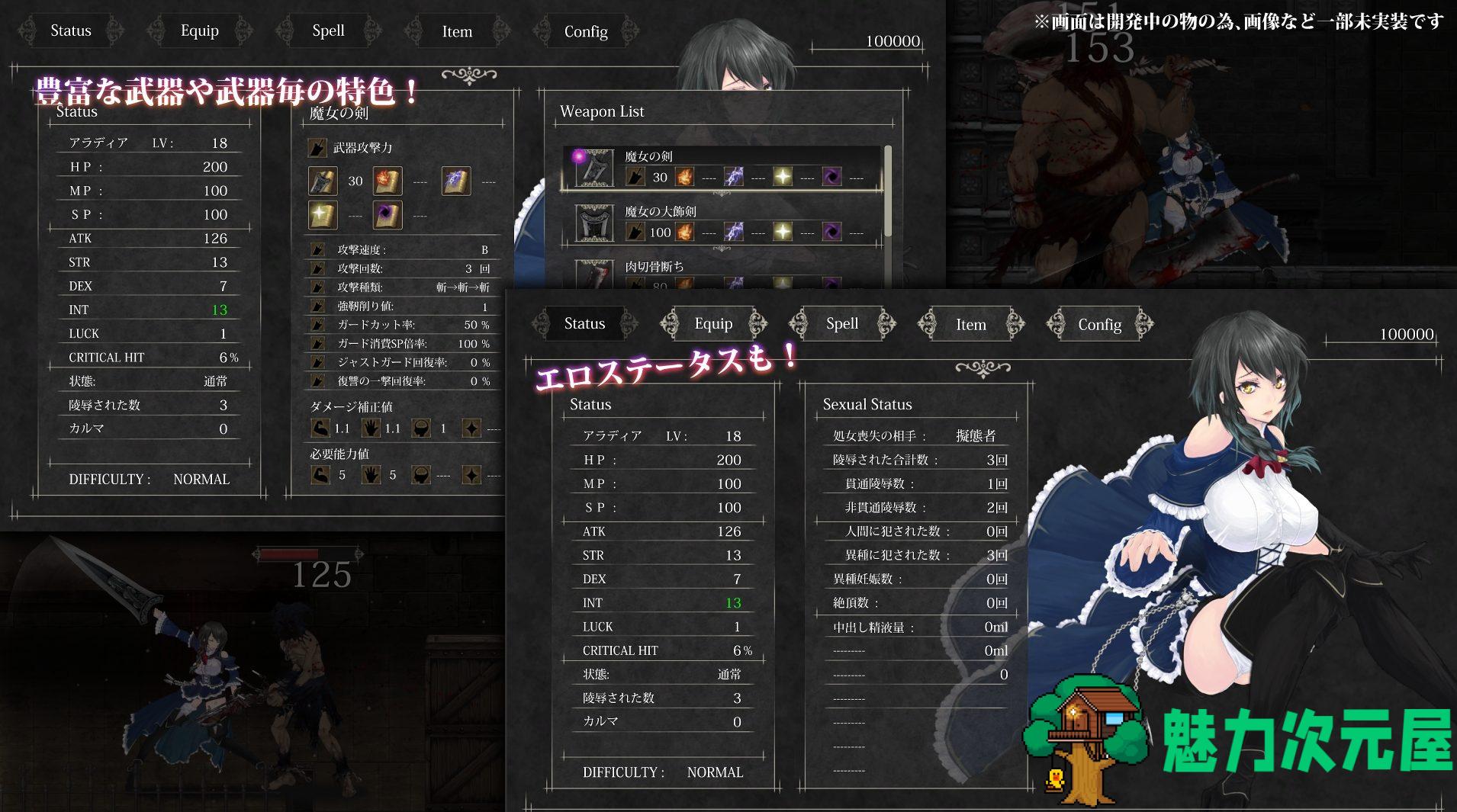 【大作ACT/全动态】魔女复仇之夜v1.05 DL正式去码版【更新/2G】
