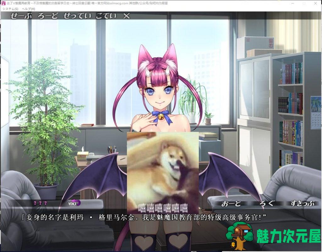 【拔作ADV/汉化】魅魔再教育 不及格魅魔的留学日志 机翻版【1.4G/全CV】-魅力次元屋