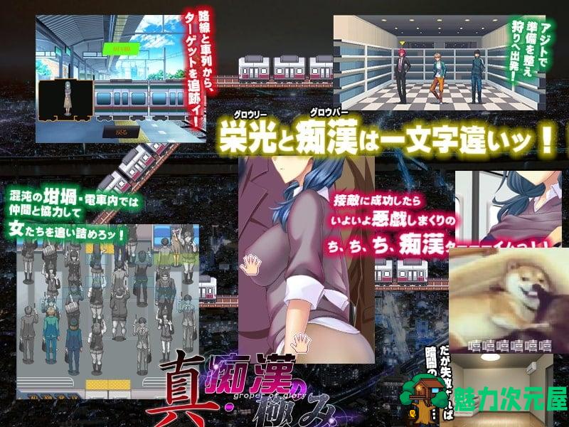 【SLG/汉化/动态】真·电车痴汉集团狩猎的极致！机翻版 付CG【新汉化/1.8G】