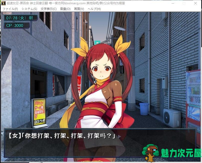 【日式SLG/汉化】超速女忍-黑百合V1.00 机翻版 付CG【3.4G/新汉化/全CV】