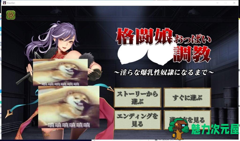 【调教SLG/全动态】格斗娘乳调教~直到成为淫荡的爆乳性奴隶 DL正式版【新作全/170M】-魅力次元屋