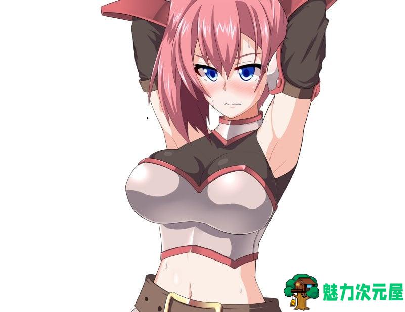 【RPG/汉化】断念的女骑士 GranEndeIII 安装+PC 精翻汉化版【新汉化/2.2G】