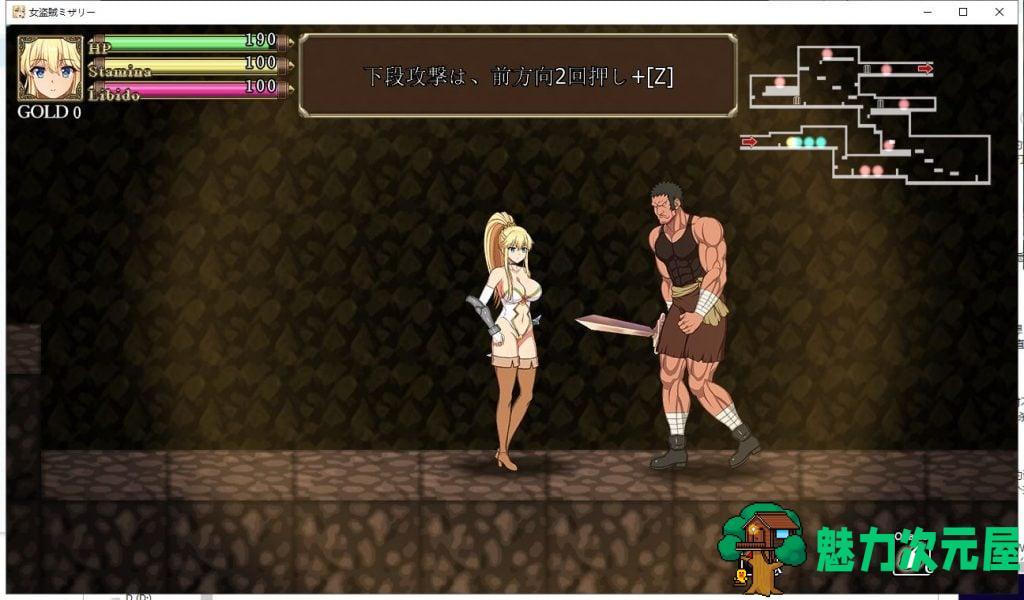 【ACT/全动态】女盗賊ミザリー~神圣媚药与魔人 DL完整正式版【700M/新作/全CV】