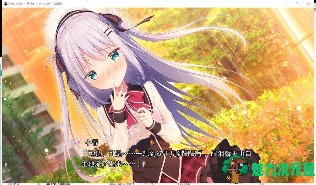 【骨科ADV/汉化/CV】心猫~与再会的妹妹展开全新的关系 汉化修复版 付存档+CG包【新汉化/1.3G】