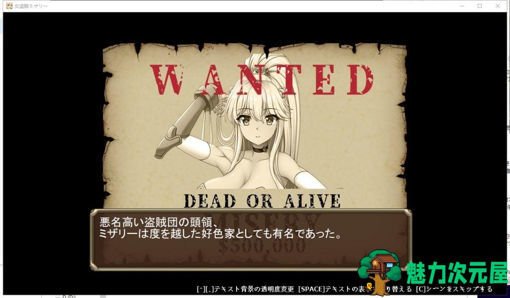 【ACT/全动态】女盗賊ミザリー~神圣媚药与魔人 DL完整正式版【700M/新作/全CV】