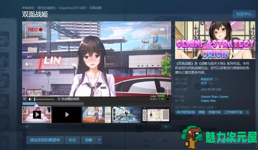【战棋SLG/中文/全动态】双面战姬-Gemini Strategy Origin 官方中文步兵版【700M/新作/中文CV】