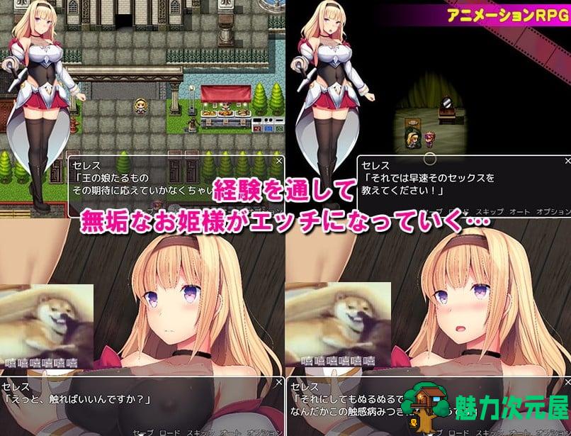 【日式RPG/汉化/全动态】未经世事的公主-ずのお姫様 汉化版【1G/新汉化/全CV】