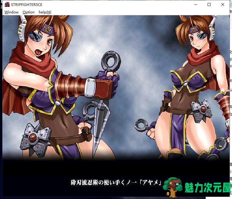 【格斗ACT/全动态】爆衣战士5代-CHIMPOCON EDITION 完整正式版【900M/新作/全CV】