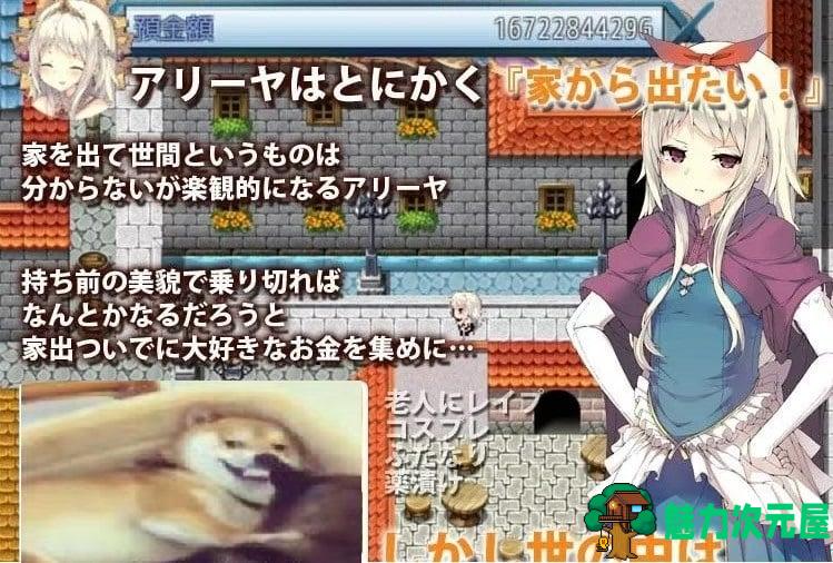 【日式RPG/汉化/完结】家出王女：天真的银*公主 PC+安卓 精翻汉化版 付CG包【全CG/1.3G】-魅力次元屋