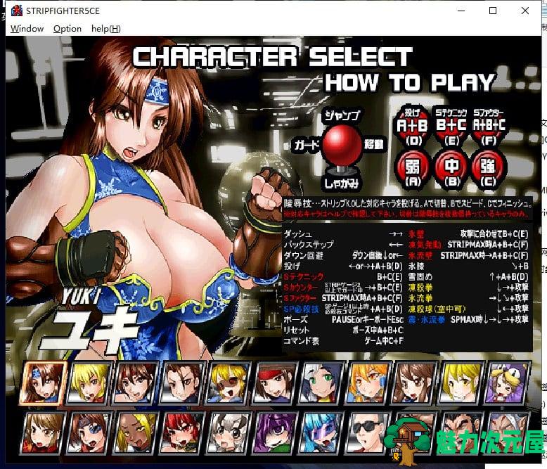 【格斗ACT/全动态】爆衣战士5代-CHIMPOCON EDITION 完整正式版【900M/新作/全CV】