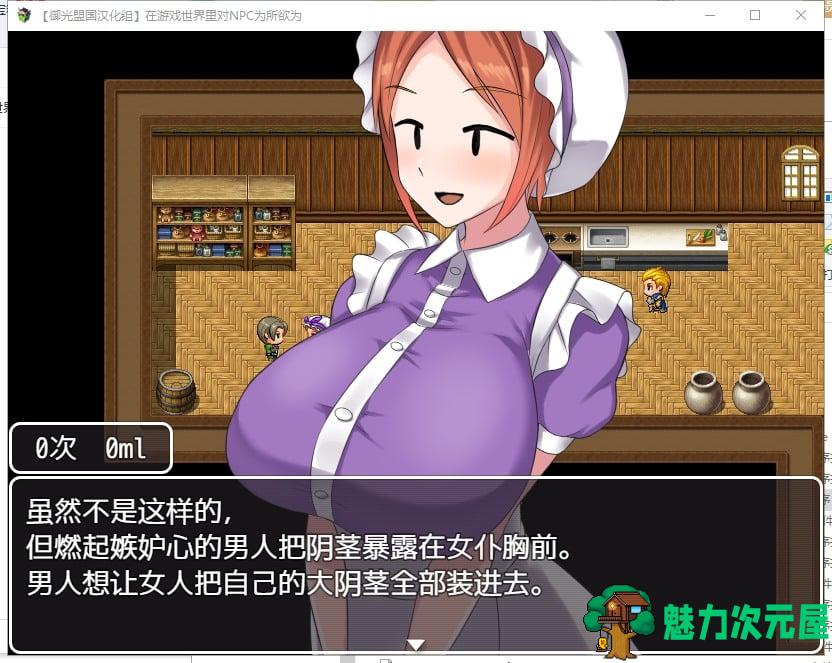 【RPG/NPC/汉化】在游戏世界里对NPC为所欲为！精翻汉化版【新汉化/700M】