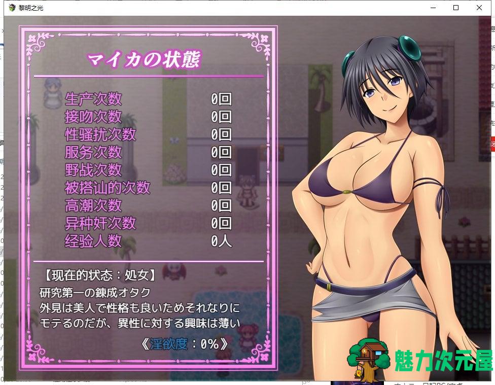 【日系RPG/汉化/战斗H】黎明之光 精翻汉化完结版+全CG【新汉化/890M】