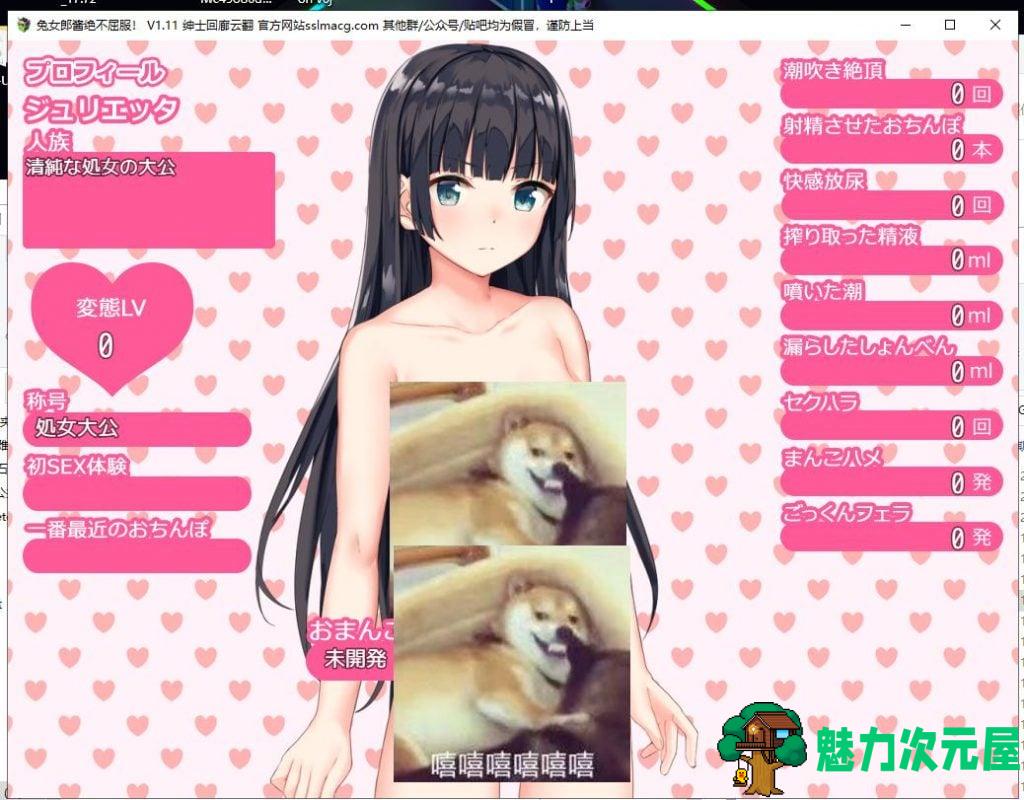 【RPG/汉化】兔女郎酱绝不屈服~圣石技师冒险谭 V1.11 云汉化版 付CG包【2.1G/新汉化/全CV】