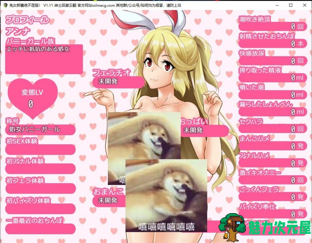 【RPG/汉化】兔女郎酱绝不屈服~圣石技师冒险谭 V1.11 云汉化版 付CG包【2.1G/新汉化/全CV】