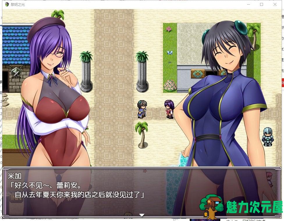 【日系RPG/汉化/战斗H】黎明之光 精翻汉化完结版+全CG【新汉化/890M】
