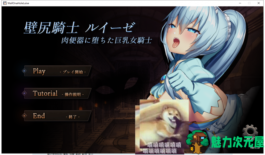 【SLG/全动态】壁尻骑士露易丝-RBQ的巨儒女骑士 V1.00【270M/新作/全CV】-魅力次元屋