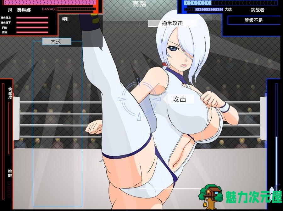 【格斗ACT/汉化/步兵】[JSK工坊] 斗技女王赛琳娜 完整精翻汉化版+攻略+存档【270M】