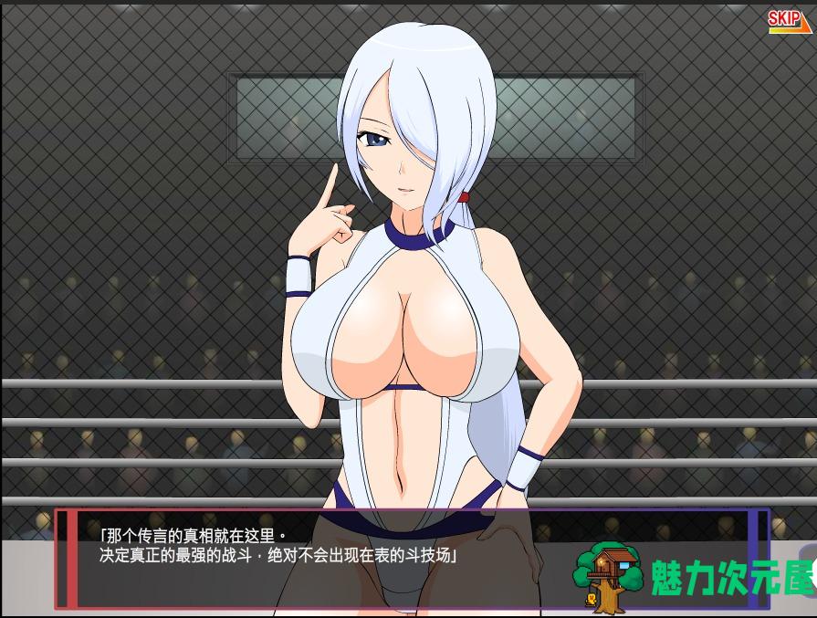 【格斗ACT/汉化/步兵】[JSK工坊] 斗技女王赛琳娜 完整精翻汉化版+攻略+存档【270M】