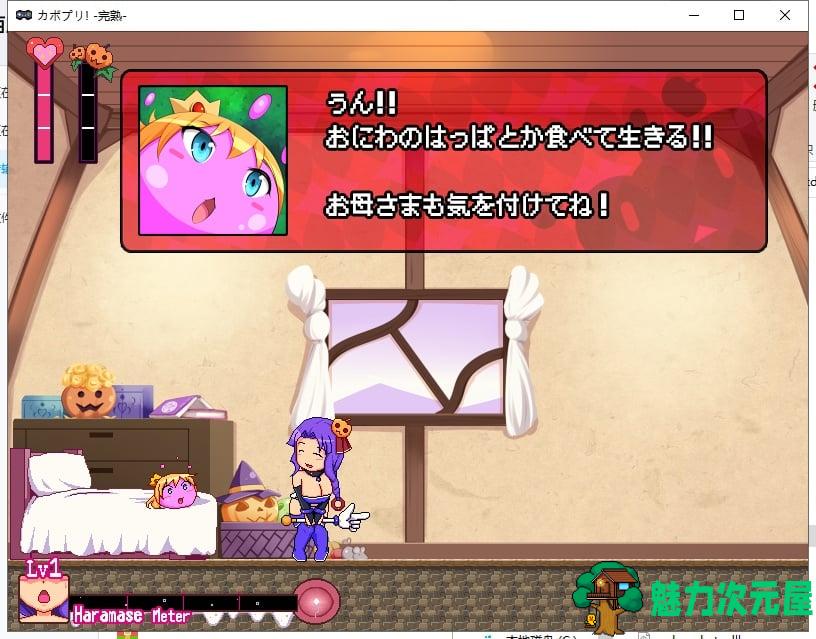 【ACT/全动态/双版】早熟or完熟！卡博奇王国的交尾姬骑士！母/女双版本【800M/新作】