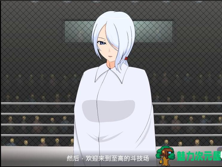 【格斗ACT/汉化/步兵】[JSK工坊] 斗技女王赛琳娜 完整精翻汉化版+攻略+存档【270M】