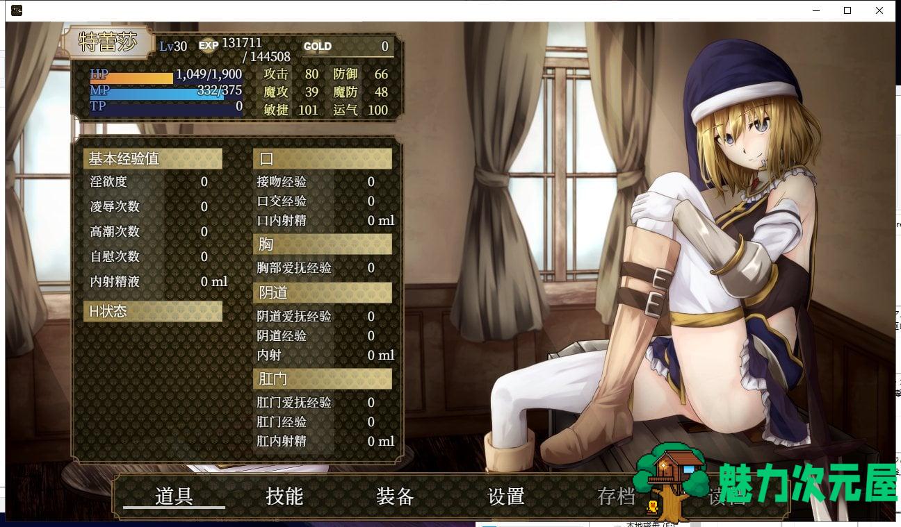 【RPG/中文/全动态】噬欲之书~谎言与复仇的抒情诗 官方中文版+全CG存档 【700M/CV】
