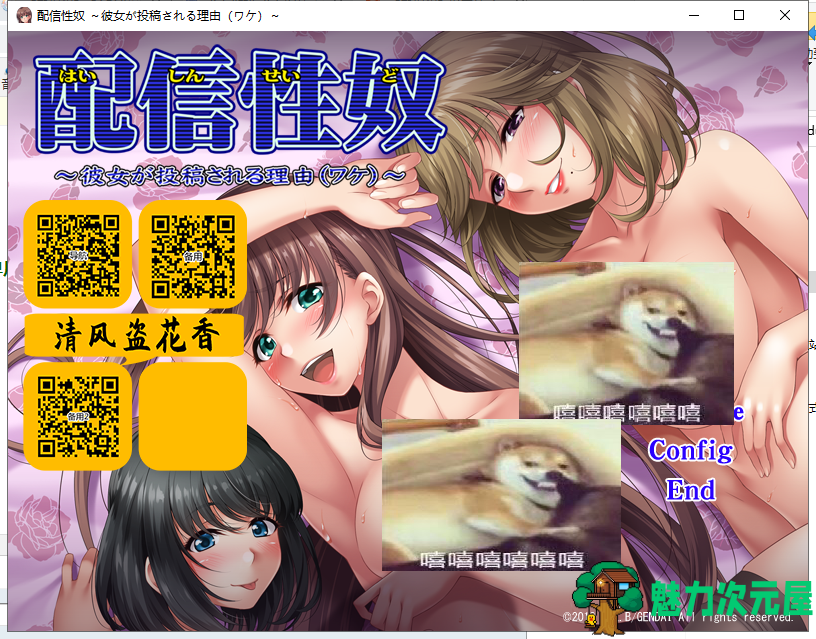 【拔作ADV/汉化/CV】性奴视频发布！用女友来投稿的理由！安卓+PC 汉化版+CG包【新汉化/1G】-魅力次元屋